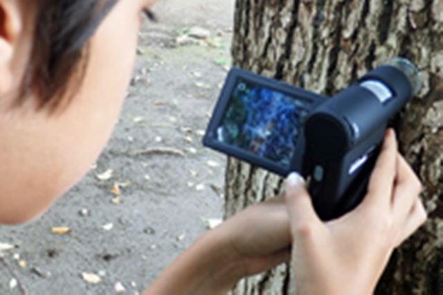 �D��S���h�����錰�����u400-CAM025�v�ɏ��w4�N���������I