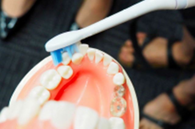 �u���s�P�A�v�d���I ���{���^�[�Q�b�g�ɂ����\�j�b�P�A�[�V���f�����`�F�b�N���Ă����I