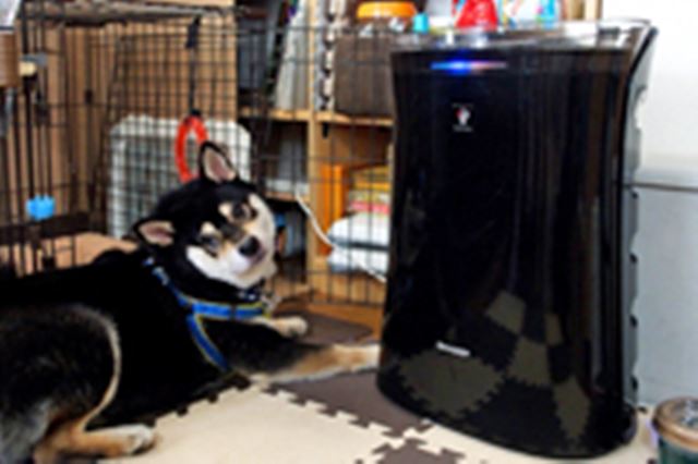 シャープ 蚊取空清 FU-GK50 価格比較 - 価格.com