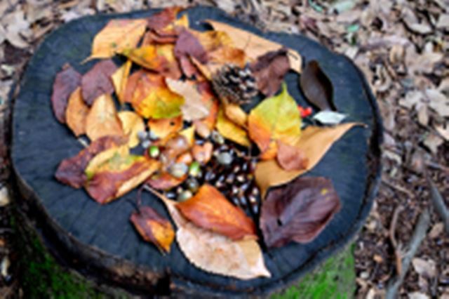 ���̃V���[�v���I �u�P�œ_�����Y�v�Ɓu�Y�[�������Y�v���g��������1��̐��E�ցI