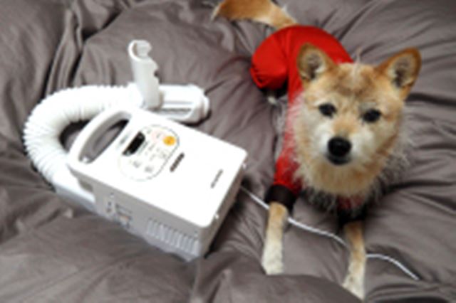 �p���[�A�b�v�I �l�C�̃}�b�g�Ȃ��z�c�����@�u�V�J�����G�v���g���Ă݂�