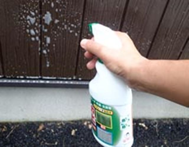 イヤ〜な青ゴケが、スプレーするだけで消えるってほんと?!
