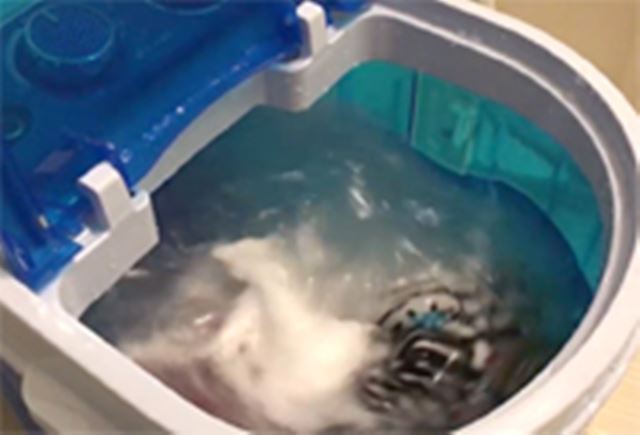 �T���R�[�u�~�j����@�v����󉤎q���܂��߂Ɏg���Ă݂�