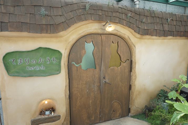 [Z] ssgˎ{2-13-14 3F[cƎ] 10:00`21:00http://www.temarinoouchi.com