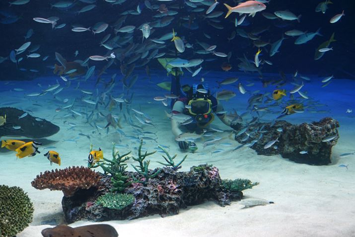 炪_Co[ɂu360fly 4Kvݒu̗lqBObv̒ɖ߂ČŒ肵Ă炢܂