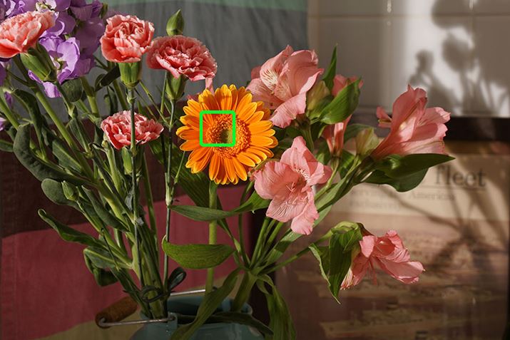 掿`FbNpɊxʂɎBeʐ^̃TlCiΘg{Ő؂oj