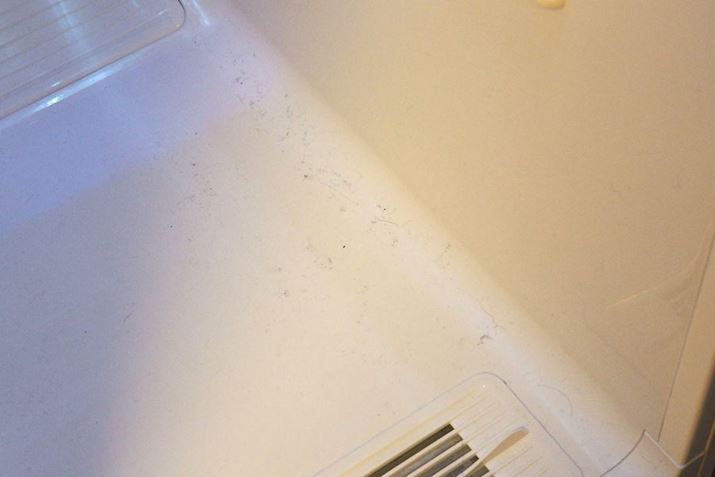 3AĎgpLG StylerB̖тzRA䂪Ƃ̃ybg̖тȂǂ񗎂Ă܂