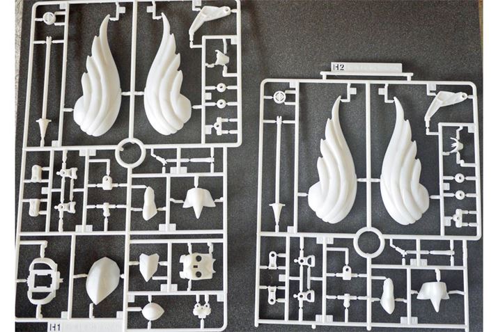 ̓p[dl̃zCg̍ʐFƂȂĂA܂