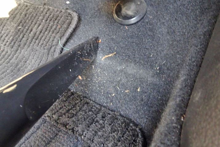 ƃp[sƎvA^]Ȃ̑̓yS~z\͂͂̂܂