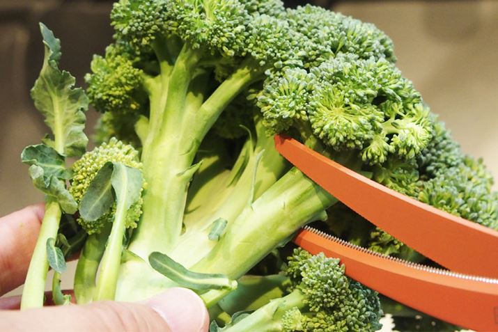 ubR[ȂǁAWĂƂ؂ꍇ́ÃJ[u𗧂܂