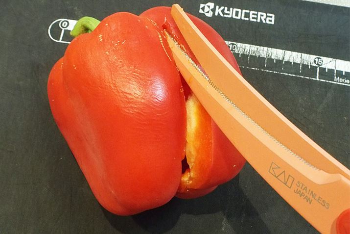 pvJȂǗ̓IȂ̂؂₷ł