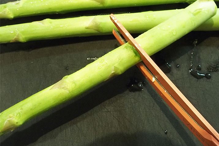 AXpKX̂悤ȍd߂̐HނłAȂ؂藎Ƃ܂