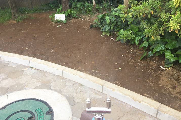 ܂ȂĂÃ~Xg𗁂т邾łB܂