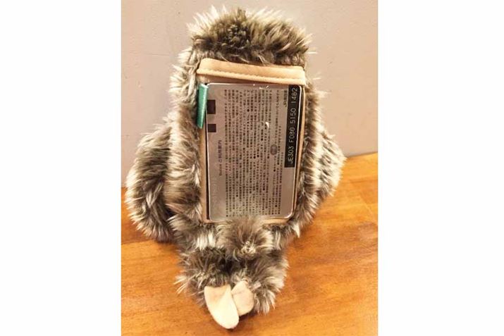 wʂ̃P[XɃJ[h[ĂBqтł