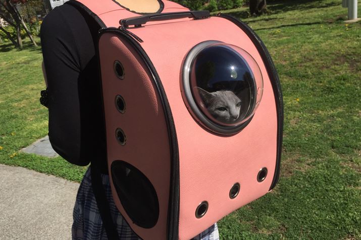 uI[\hbNXȃhZvƂقړł