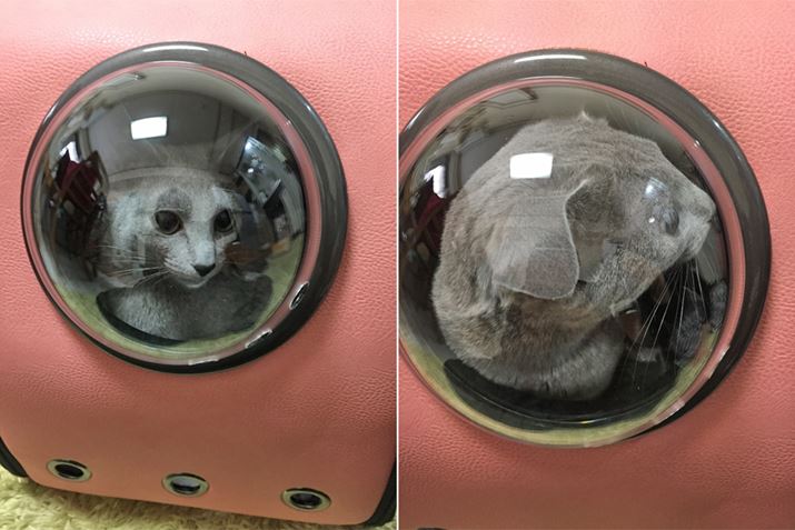 Ƃ́u킢IvƖJ߂邾ł