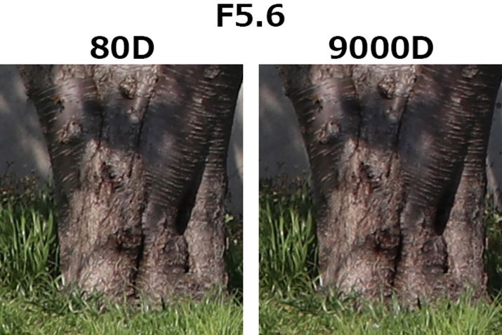 F5.6A1/800bAISO100