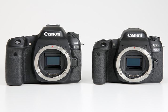 EOS 80DAEOS 9000DƂɗL2420f̎BfqiAPS-CTCYj̗pĂ