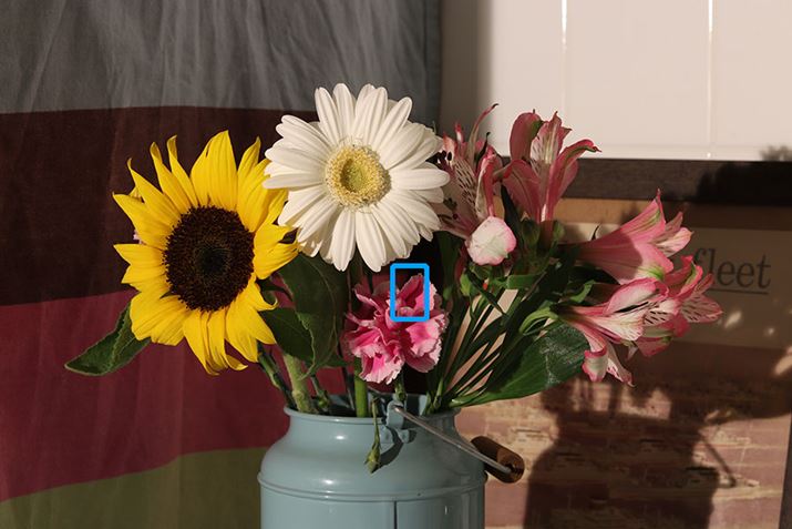 掿`FbNpɊxʂɎBeʐ^̃TlCig{Ő؂oj