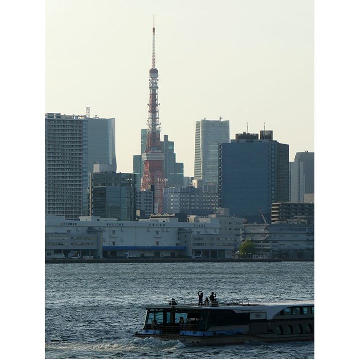 ̍Beʒu瓌^[ɌČw12{xɂ܂ŃY[AbvĎBĂ݂܂