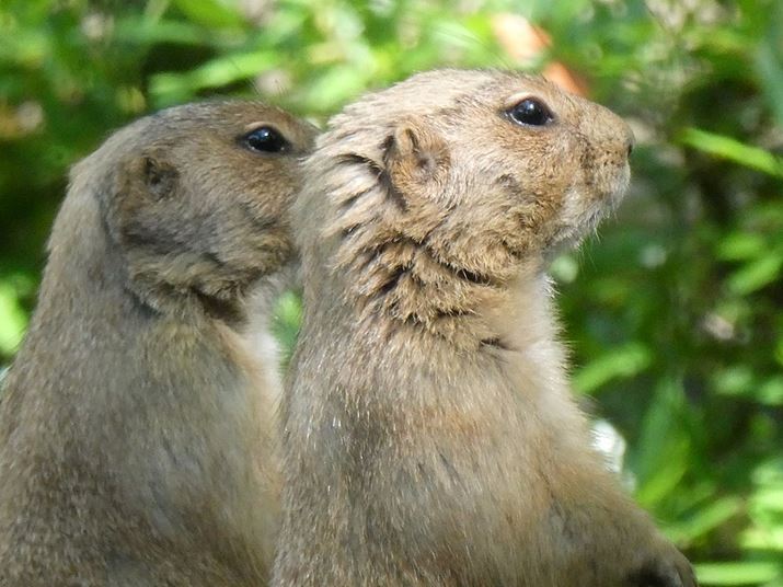 LUMIX DC-TZ90Aw30{i35mmZ720mmjAISO1600AF6.4A1/125b