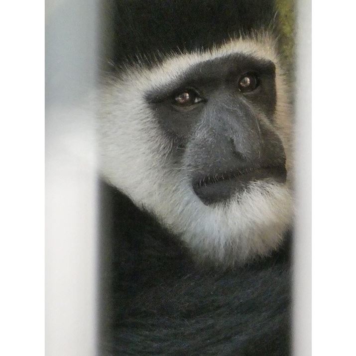 LUMIX DC-TZ90A60{i35mmZ1440mmjAISO1250AF6.4A1/125b