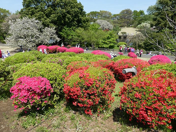 Lp[i24mmjŃccW̎RBĂ܂