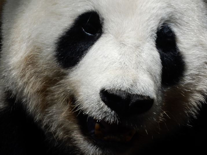 COOLPIX A900A70{i35mmZ1680mmjAISO110AF6.9A1/250b