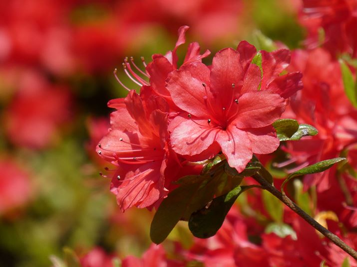 ̍BʒuŌw30{i720mmjɂăccWBƂȂ܂Bwi傫{P܂