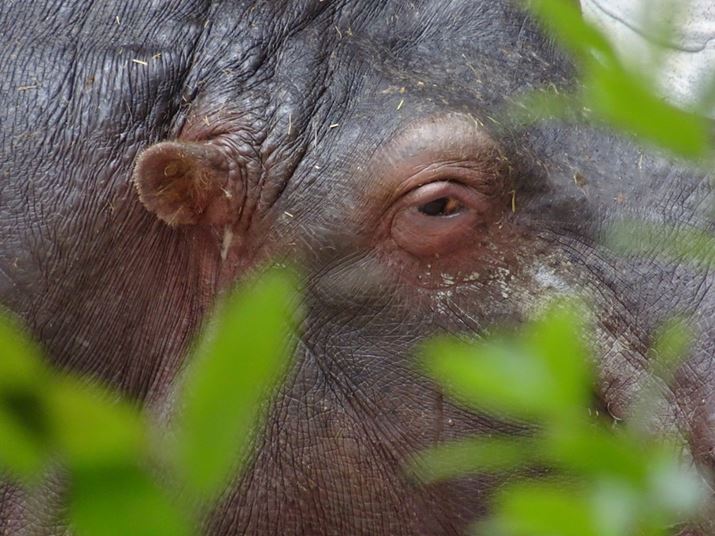 TCo[Vbg DSC-WX500Aw30{i35mm717mmjAISO640AF6.3A1/250b