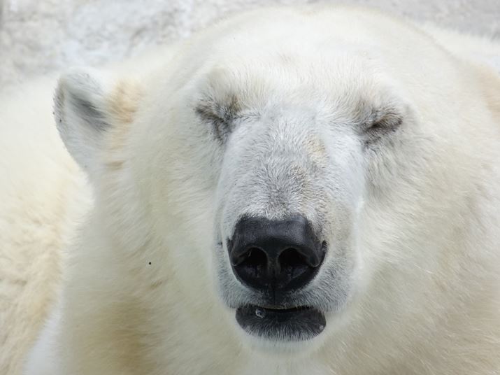 TCo[Vbg DSC-WX500Aw30{i35mm720mmjAISO100AF6.4A1/250b