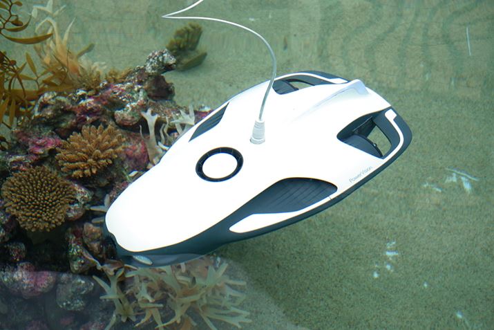 ʐMP[uȂ܂܍ő[x30m܂ŐłuPowerRayv