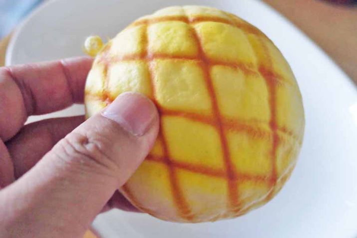 �j���̎�ɂ͏����������ł����A�ǂ����Ă��������p���ł�