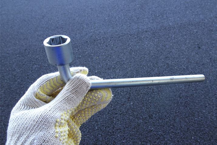 ԍڍH̒ɂgN`BF܂̃N}ɂ炪Hςł͂ł