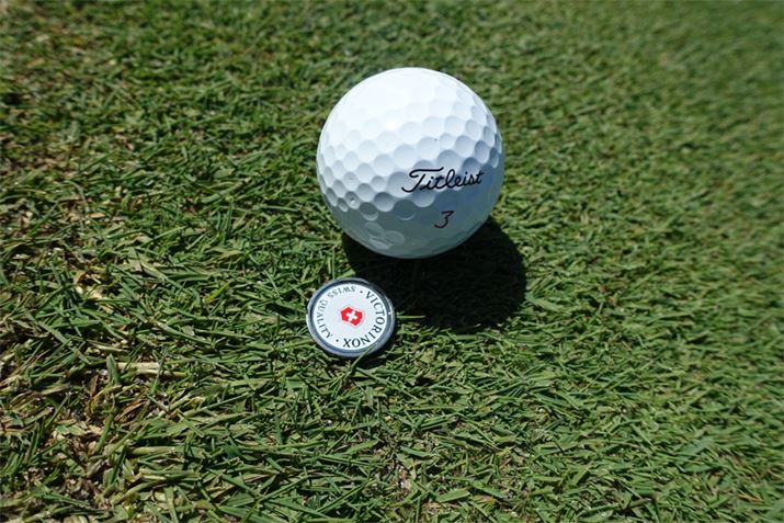 ���n�ɐԂ̃��S�A�O���[����Ŗڗ����܂�