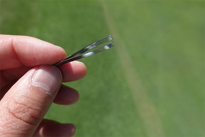 �Ƃ������B�{�̂�����O���Ďg���܂�