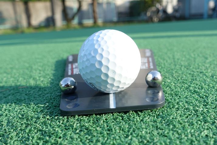 X^_[h͂ȊB܂͂n߂Ă݂Ă