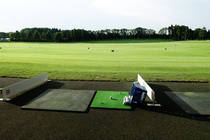 ݂ɋłÃXCOqώƏB悤ȋC܂