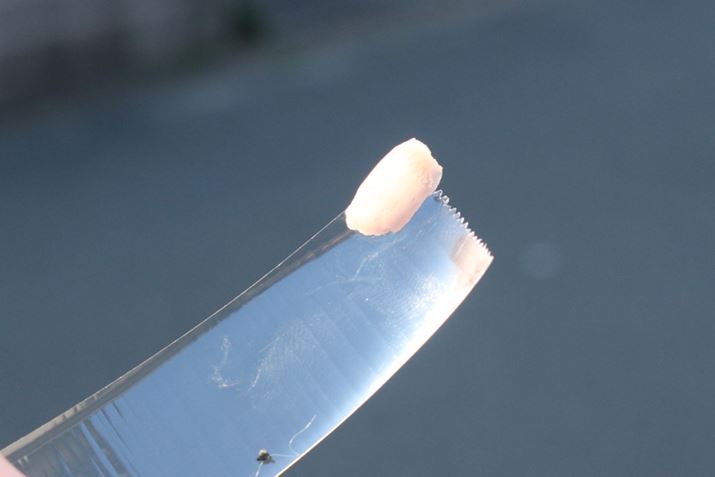 Zne[vgpĂāAe[vɂĊOĂ܂