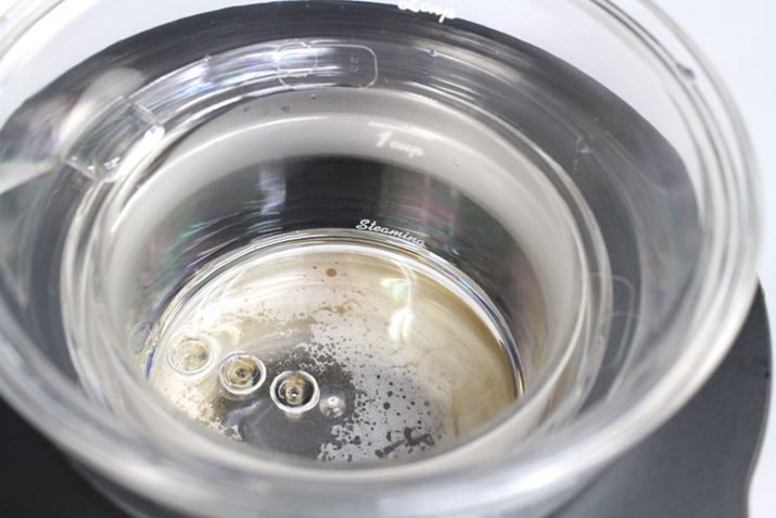 ŏɁÁuSteamingvC܂ł𒍂AR[q[X`[