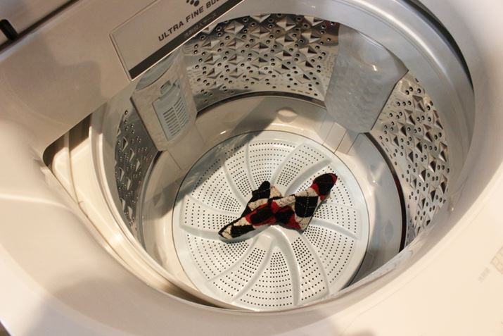 ѕzȂǂ̑啨̏oꂪ₷悤ɓ͑傫݌v܂