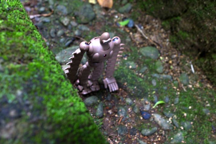 �ǂ����Ɍ������ĕ����Ă����܂�