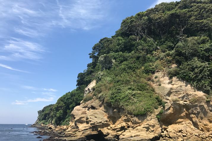 ���̑��ɓ���܂���