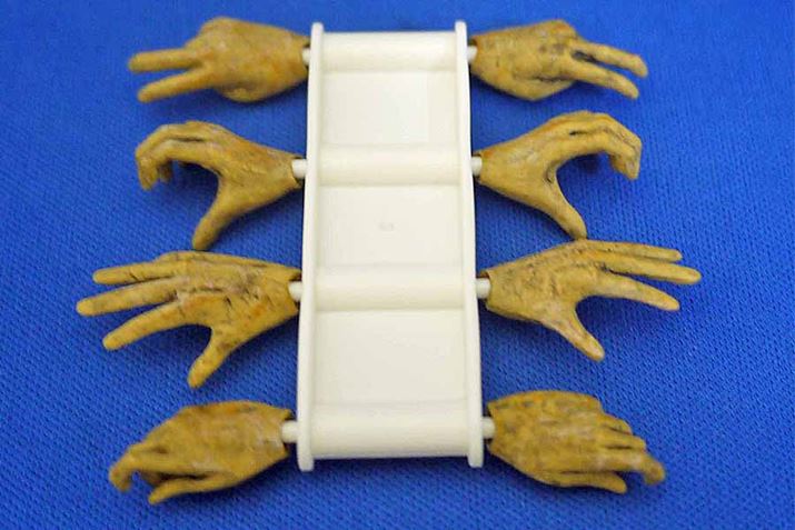 p[cB!? ͂₱̃V[Ył͒Ԃł