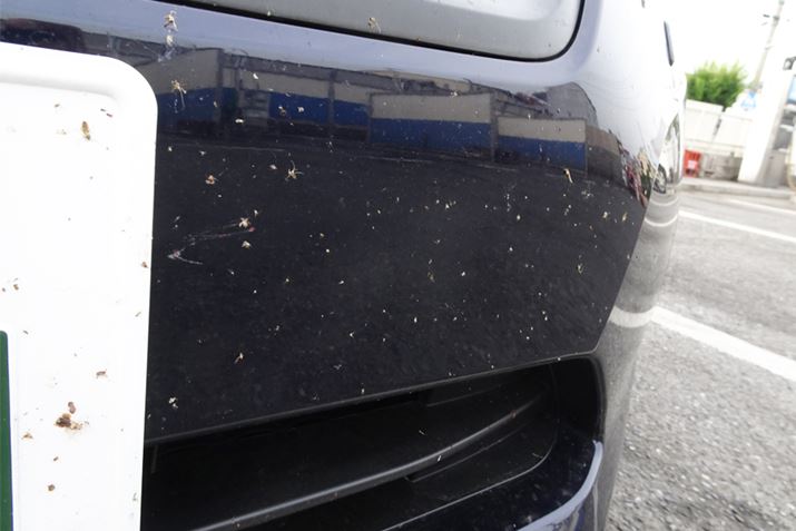 6{ł̏ԁB܂̌łB{iIȉĂɂȂ΂̔{ȏ̒܂