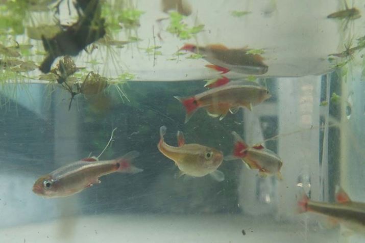 ́A|s[́uAJqv4CƁc