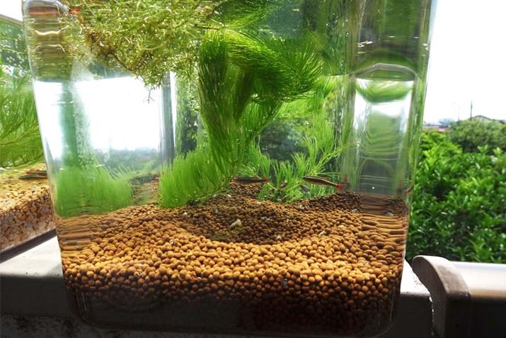 ZbgĂPTԌ́u\Cv̗lqB܂RP͔Aɕω͌܂