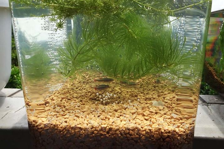 ZbgĂPTԌ́ułv̗lqB̓x͌݊pƂƂł