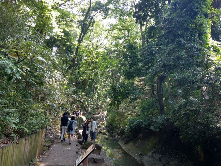 I[gBełȎʐ^pVpVBeł