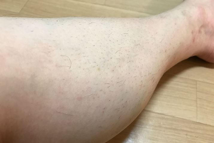 �Ă��˂��ɂ���������ł���